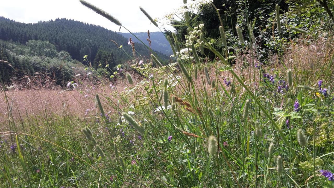 Ferienwohnung Mia Winterberg Eksteriør bilde