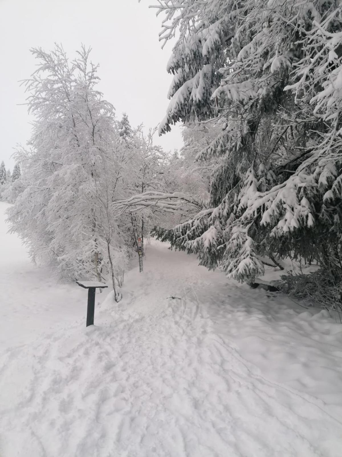 Ferienwohnung Mia Winterberg Rom bilde